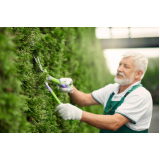 empresa de jardinagem vertical contato Casa Verde