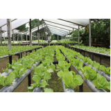 manutenção de jardins em condomínios contratar Raposo Tavares