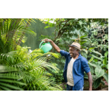 serviço de paisagismo e jardinagem em pequenos espaços Zona Leste
