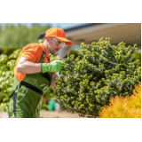 Serviço de Jardinagem para Condomínios