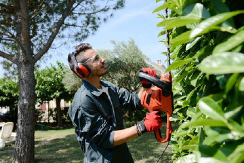 Empresa de Limpeza e Jardinagem Contato Vila Nova Cachoeirinha - Empresa de Manutenção de Jardins