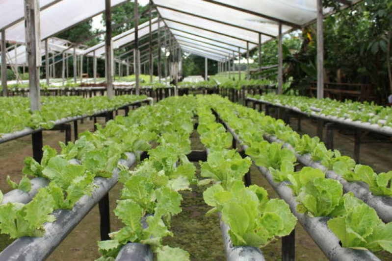 Manutenção de Jardins em Condomínios Contratar Mairiporã - Manutenção de Jardins em Condomínios