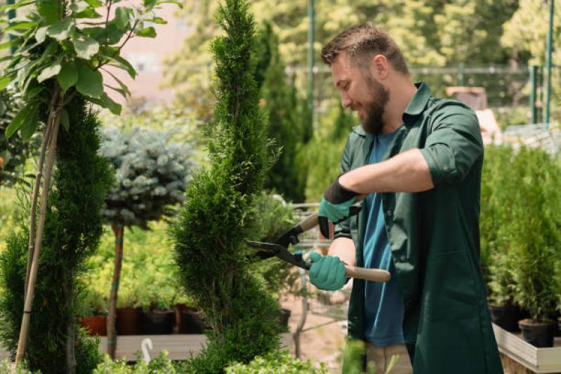 Paisagismo e Jardinagem em Pequenos Espaços Serviço Guararema - Paisagismo para Jardins Residenciais