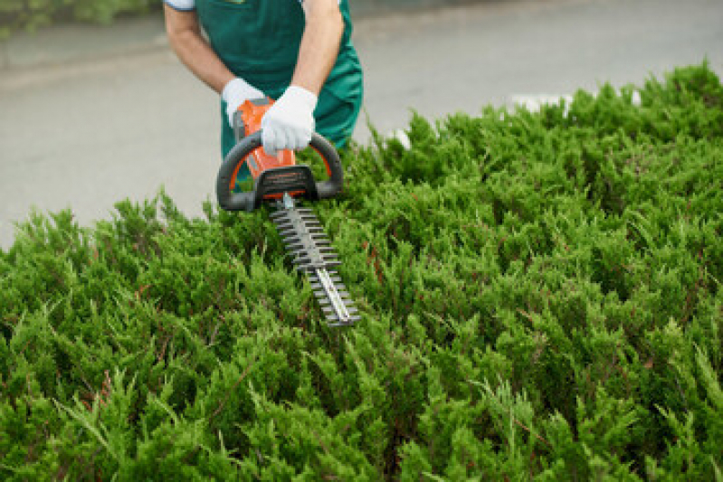 Serviço de Jardinagem para Condomínios Valor Rua Zilda - Serviço de Limpeza de Jardinagem