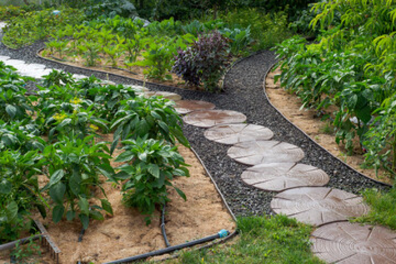 Serviço de Paisagismo e Jardinagem Terceirizado Jardins - Serviço de Manutenção em Jardim